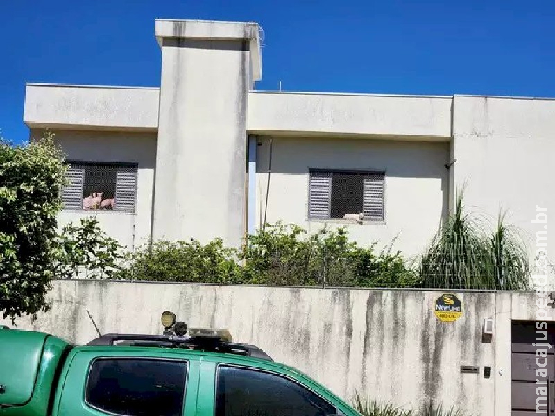 Mais de 350 animais em situação de maus-tratos são encontrados em casa de Campo Grande Mais de 350 animais em situação de maus-tratos são encontrados em casa de Campo Grande