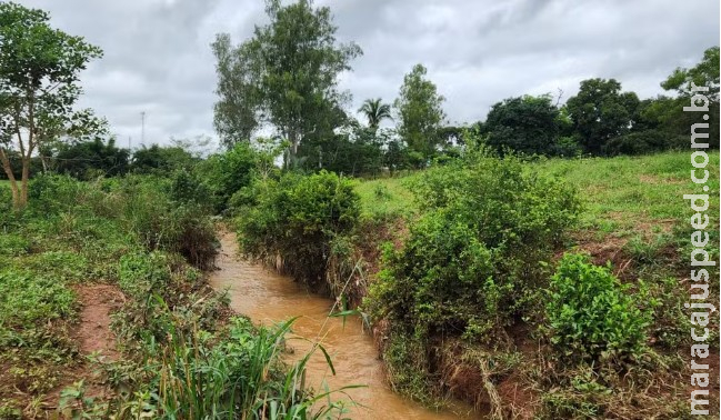 Menino de 2 anos desaparecido é encontrado morto em córrego no Mato Grosso