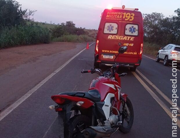 Motociclista fica ferido ao atropelar tamanduá morto na rodovia em Bataguassu