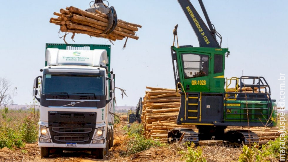 MS mantém aumento nas exportações no primeiro trimestre