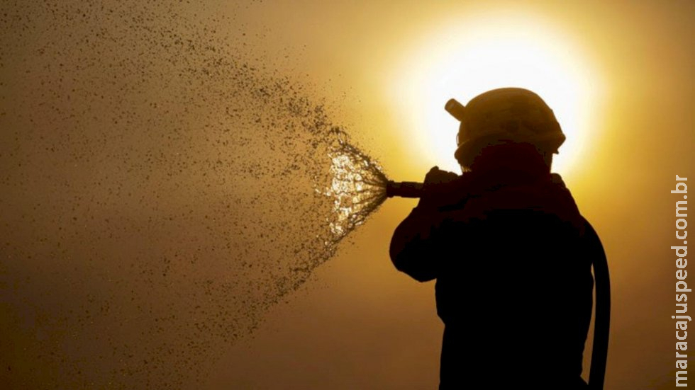 Pantanal e centro-norte de Mato Grosso do Sul estão sob ‘estado de emergência ambiental’