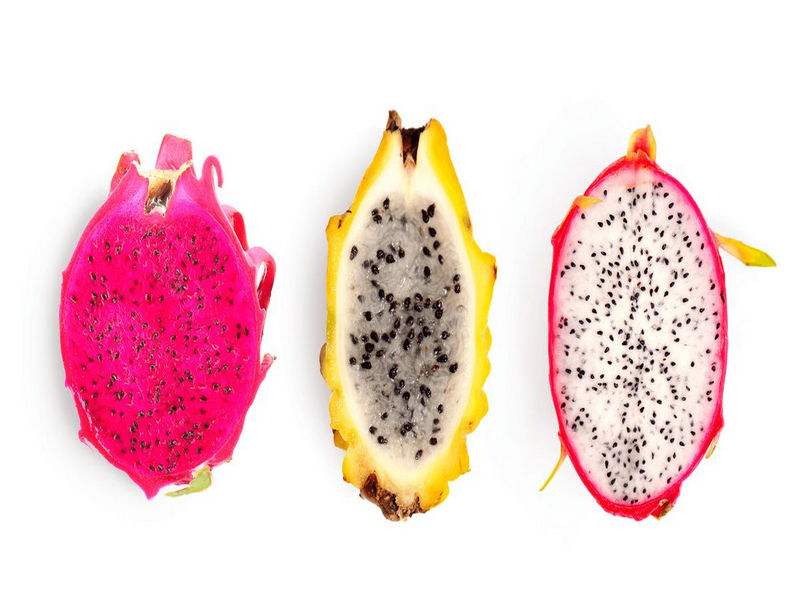 Pitaya é saúde para o consumidor e renda para o produtor