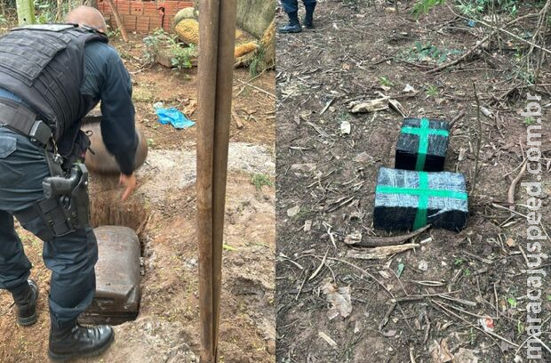 Polícia apreende mais de meia tonelada de maconha e cinco são presos em Amambai Polícia apreende mais de meia tonelada de maconha e cinco são presos em Amambai