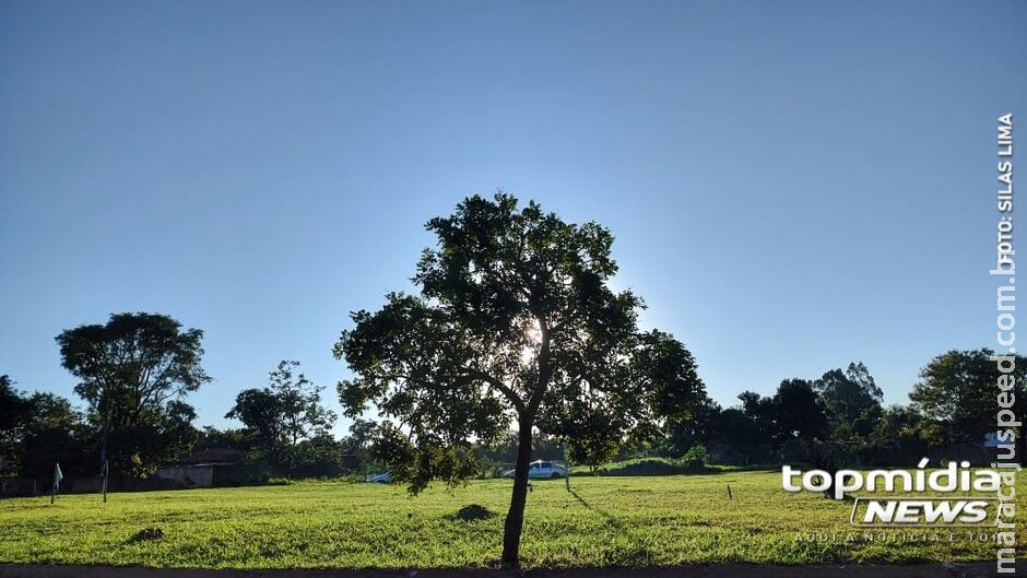 Prepare o tereré que o calor está com força total em Mato Grosso do Sul