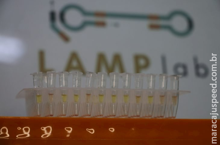 Startup recebe apoio da Fundect e inova com diagnóstico rápido de leishmaniose Startup recebe apoio da Fundect e inova com diagnóstico rápido de leishmaniose