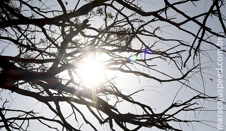 Temperaturas acima da média e tempo seco são destaques na previsão desta terça-feira