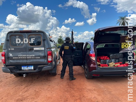 Veículo furtado em São Paulo é recuperado pelo DOF em Iguatemi carregado com mais de 400 quilos de maconha Veículo furtado em São Paulo é recuperado pelo DOF em Iguatemi carregado com mais de 400 quilos de maconha