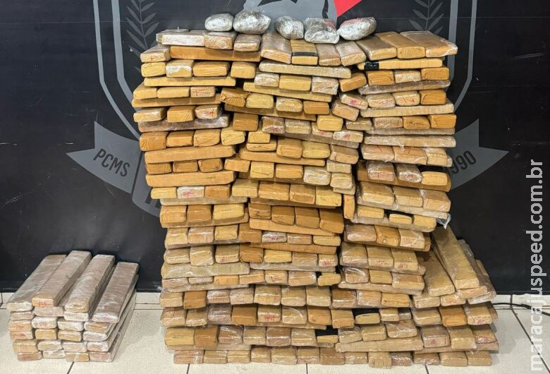 Abordagem a ônibus leva polícia a descobrir entreposto com 300kg de maconha Abordagem a ônibus leva polícia a descobrir entreposto com 300kg de maconha