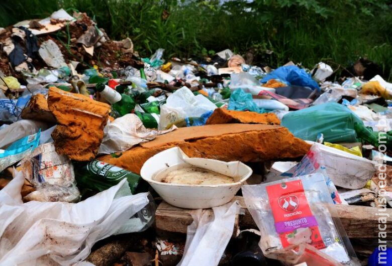 Com 11 mortes em investigação, MS confirma mais 400 casos de dengue em uma semana