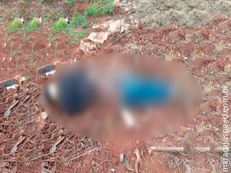 Corpo amarrado e seminu é encontrado por moradores em lixão de Ponta Porã Corpo amarrado e seminu é encontrado por moradores em lixão de Ponta Porã