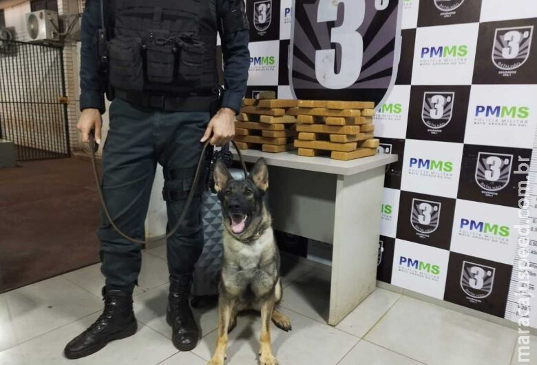 Dupla é presa na região central de Dourados com mala cheia de maconha Dupla é presa na região central de Dourados com mala cheia de maconha