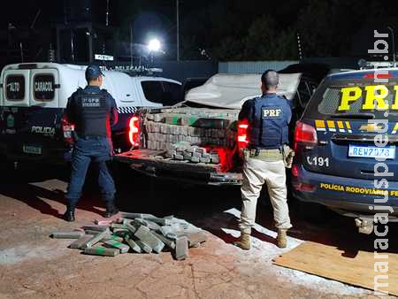Em 24h, PRF apreende 2,6 toneladas de maconha na BR-267 no MS Em 24h, PRF apreende 2,6 toneladas de maconha na BR-267 no MS