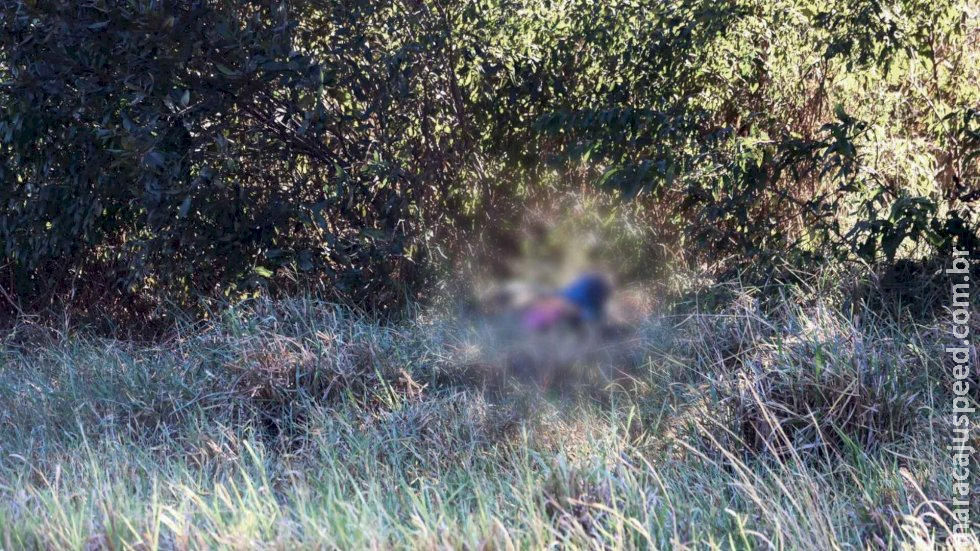 Em Campo Grande, mulher morta em matagal começou a ser agredida na rodovia e um pau teria sido usado no assassinat Em Campo Grande, mulher morta em matagal começou a ser agredida na rodovia e um pau teria sido usado no assassinat