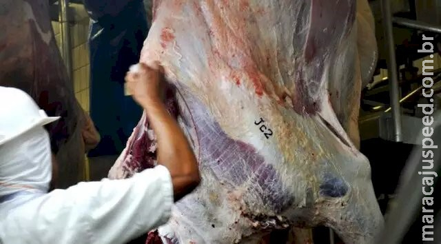 Em MS, 2,5 mil pessoas tiveram a carteira de trabalho assinada no mês passado Em MS, 2,5 mil pessoas tiveram a carteira de trabalho assinada no mês passado