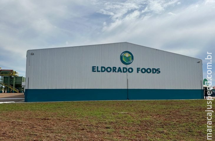 Fecularia Eldorado é inaugurada, vai gerar 330 empregos e consolidar industrialização da mandioca no sul de MS Fecularia Eldorado é inaugurada, vai gerar 330 empregos e consolidar industrialização da mandioca no sul de MS