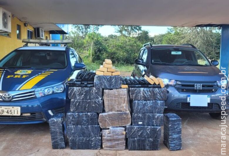 Homem aceita traficar para pagar dívidas e acaba preso com quase 400kg de maconha