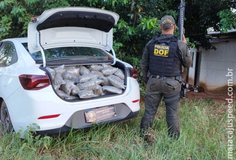 Homem tenta fugir e acaba em barranco com carro lotado de maconha e skunk Homem tenta fugir e acaba em barranco com carro lotado de maconha e skunk