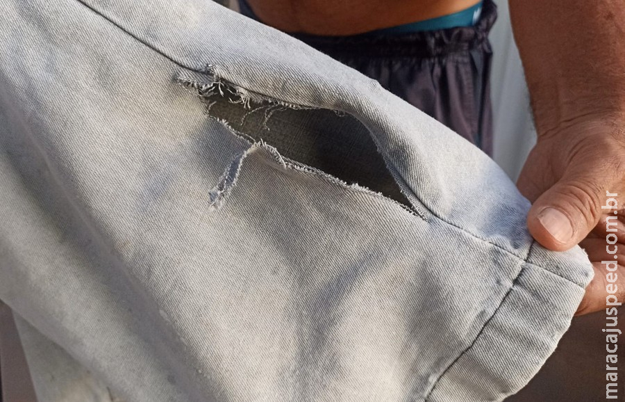 Idoso é atacado por cachorro enquanto caminhava no centro de Nova Andradina Idoso é atacado por cachorro enquanto caminhava no centro de Nova Andradina