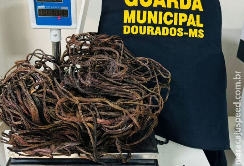 Jovens são detidos após furtarem 3 quilos de fios de cobre na Vila Roma Jovens são detidos após furtarem 3 quilos de fios de cobre na Vila Roma