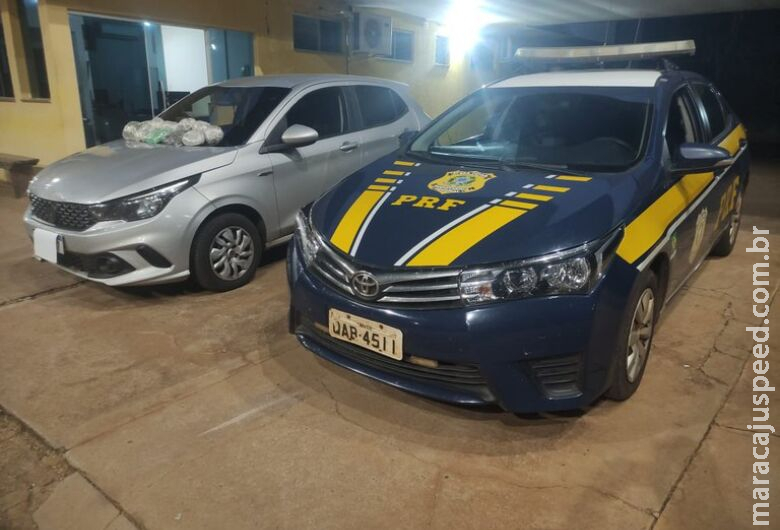 Motorista de aplicativo é preso transportando skunk dentro de veículo Motorista de aplicativo é preso transportando skunk dentro de veículo