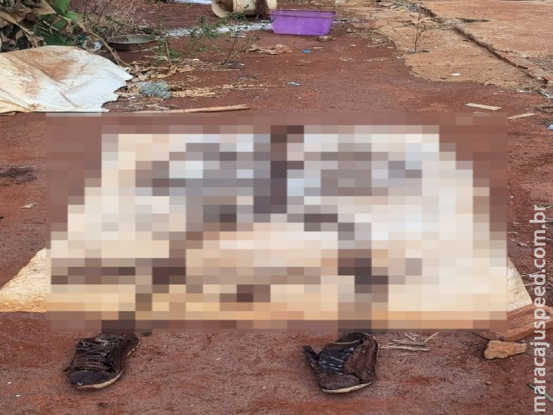 Mulher vai colher mandioca e encontra ossada de homem desaparecido há 6 meses Mulher vai colher mandioca e encontra ossada de homem desaparecido há 6 meses