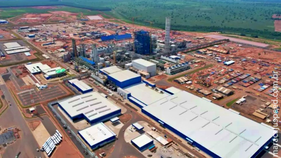 Na terra da soja e do boi, celulose é negócio cada vez melhor Na terra da soja e do boi, celulose é negócio cada vez melhor