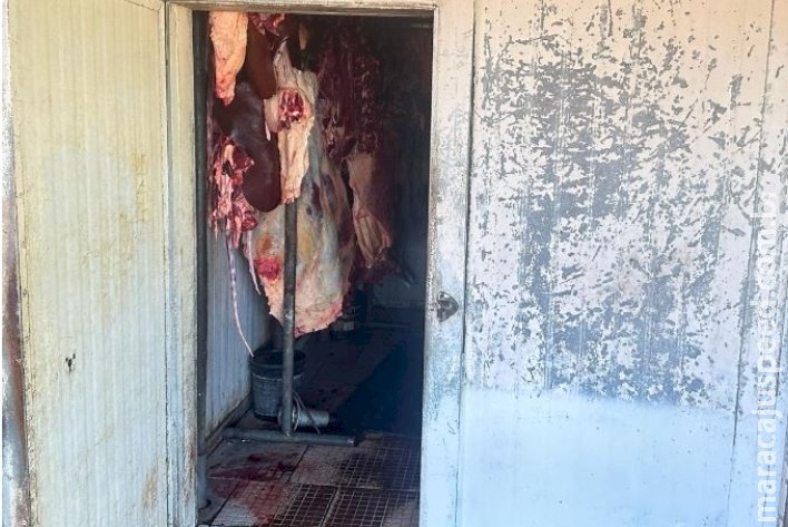 Operação em Paranaíba resulta na prisão de três suspeitos por comércio de carne clandestina Operação em Paranaíba resulta na prisão de três suspeitos por comércio de carne clandestina