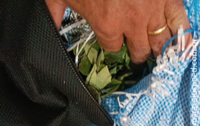 Passageira é presa transportando folhas de coca em malas em Três Lagoas Passageira é presa transportando folhas de coca em malas em Três Lagoas