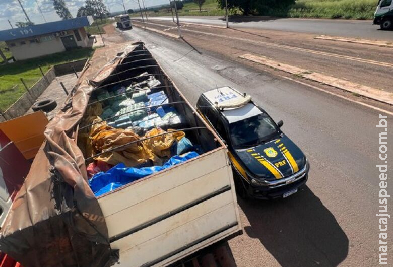 Polícia apreende 9,4 toneladas de maconha em Nova Andradina