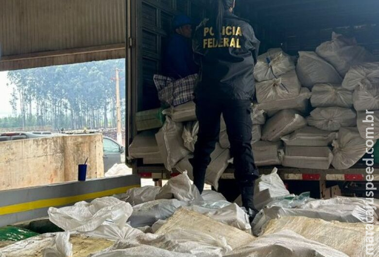 Polícia incinera quase seis toneladas de drogas na fronteira Polícia incinera quase seis toneladas de drogas na fronteira
