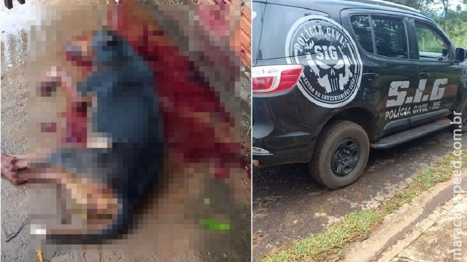 Polícia tenta localizar suspeito de balear homem e matar cachorra em Anastácio Polícia tenta localizar suspeito de balear homem e matar cachorra em Anastácio