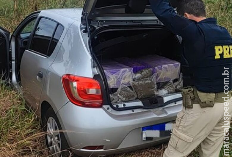 PRF recupera veículo e apreende 247 kg de maconha e skunk em Ivinhema PRF recupera veículo e apreende 247 kg de maconha e skunk em Ivinhema