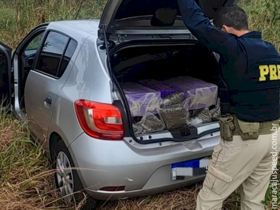 PRF recupera veículo e apreende 247 kg de maconha e skunk em Ivinhema PRF recupera veículo e apreende 247 kg de maconha e skunk em Ivinhema
