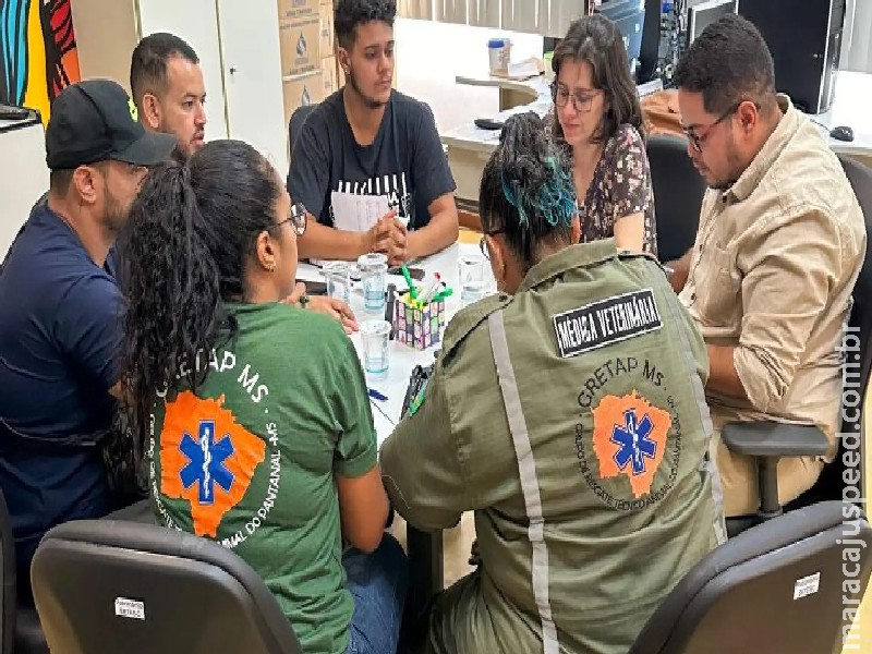 Sul-mato-grossenses arrecadam alimentos para ajudar os mais de 6 mil animais resgatados no RS