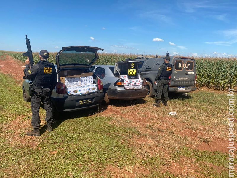 Veículos carregados com cigarros ilegais são apreendidos pelo DOF na região de Maracaju Veículos carregados com cigarros ilegais são apreendidos pelo DOF na região de Maracaju