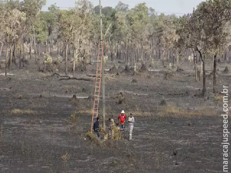 Área queimada do Pantanal pode exceder 2 milhões de hectares até o fim do ano Área queimada do Pantanal pode exceder 2 milhões de hectares até o fim do ano