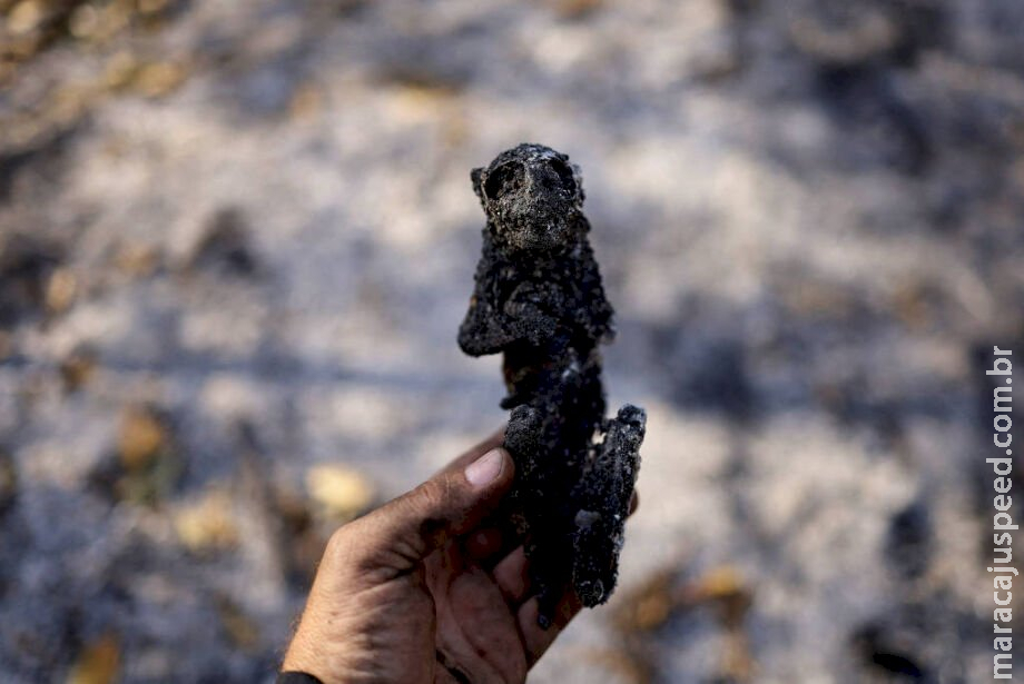 Área queimada no pantanal já é 54% maior do que em ano de devsastação recorde Área queimada no pantanal já é 54% maior do que em ano de devsastação recorde