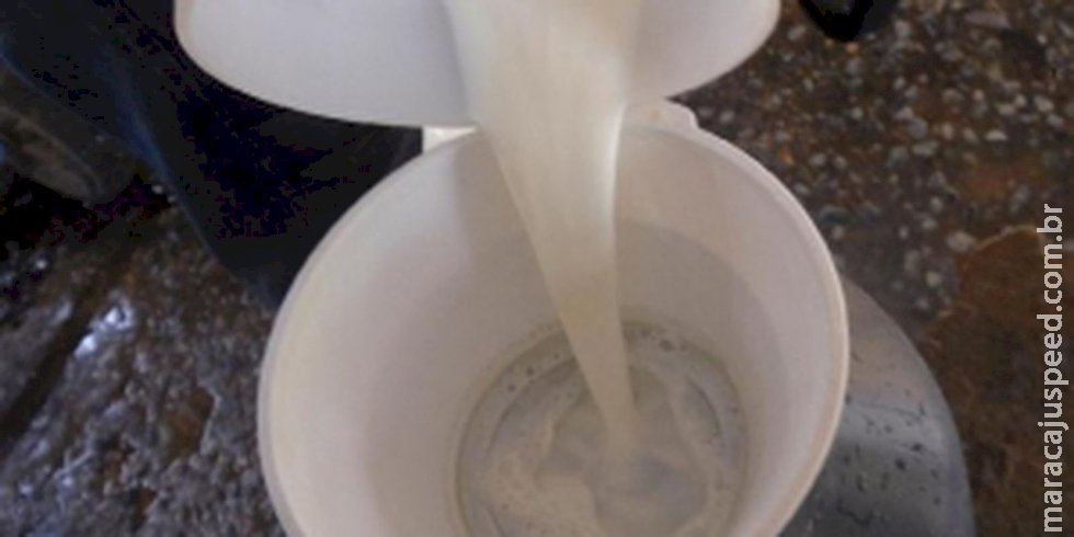 Campanha alerta sociedade sobre alergia alimentar