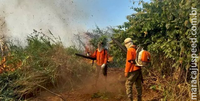 Cerca de 20 fazendas do Pantanal foram incendiadas em um mês Cerca de 20 fazendas do Pantanal foram incendiadas em um mês