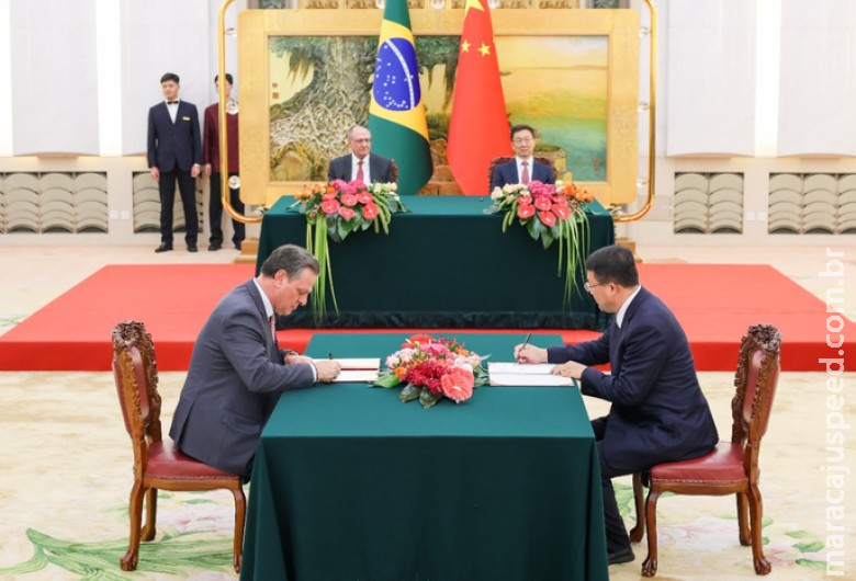 China anuncia abertura de mercado para noz-pecã durante missão brasileira no país China anuncia abertura de mercado para noz-pecã durante missão brasileira no país