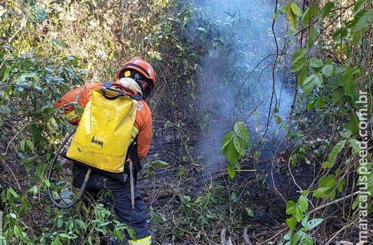 Com incêndios florestais ativos, bombeiros de MS atuam para controlar chamas em diferentes áreas do Pantanal Com incêndios florestais ativos, bombeiros de MS atuam para controlar chamas em diferentes áreas do Pantanal