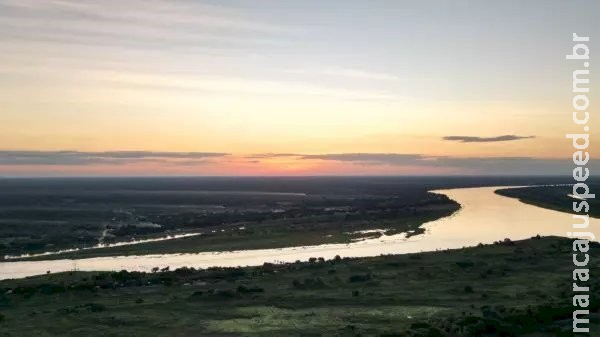 Com seca histórica no Rio Paraguai, falta água até para animais beberem no Pantanal de MS Com seca histórica no Rio Paraguai, falta água até para animais beberem no Pantanal de MS