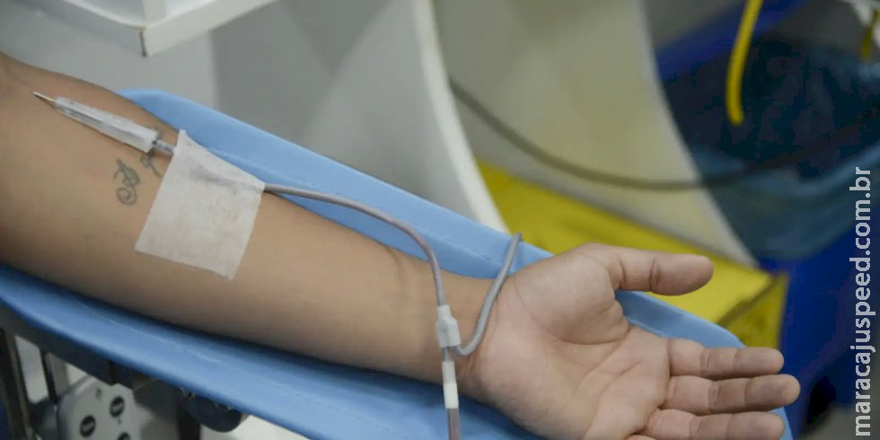 Dia Mundial do Doador de Sangue: saiba mais sobre a doação regular Dia Mundial do Doador de Sangue: saiba mais sobre a doação regular