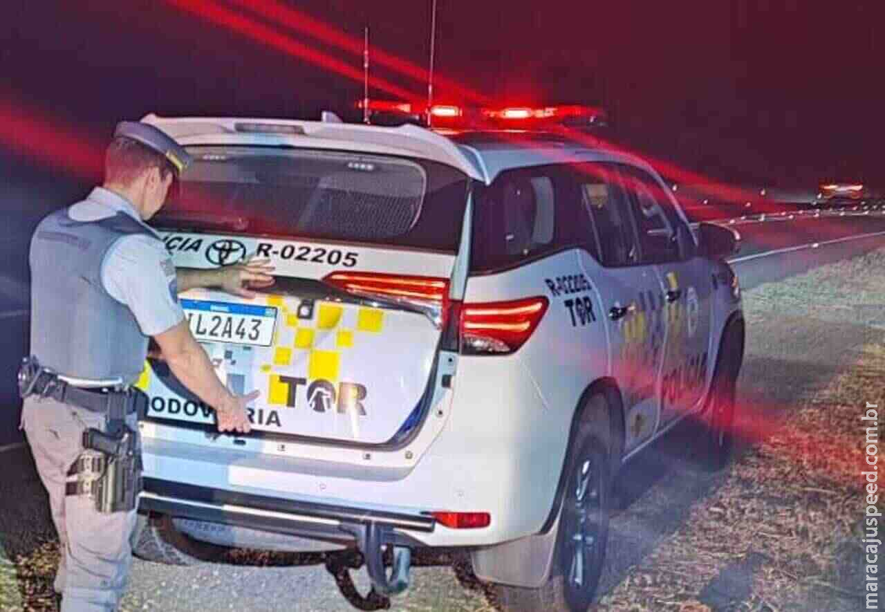 Douradense procurado pela Justiça desde 2022 é preso em rodovia paulista Douradense procurado pela Justiça desde 2022 é preso em rodovia paulista