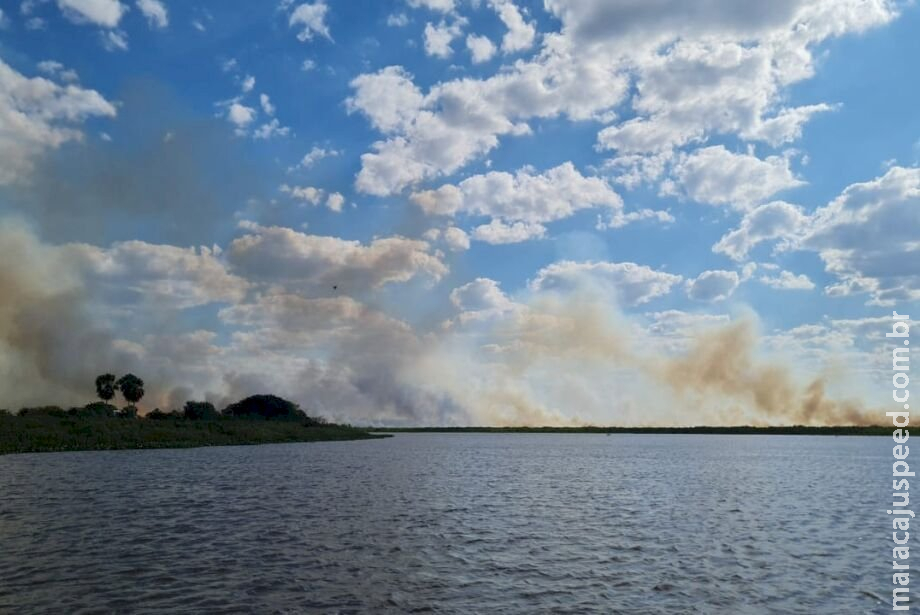 Fogo no Pantanal já queimou 20 mil hectares em uma semana e está descontrolado Fogo no Pantanal já queimou 20 mil hectares em uma semana e está descontrolado