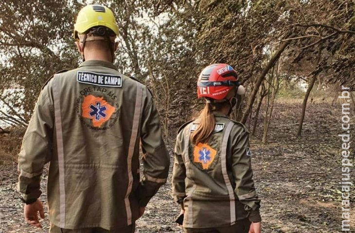 Grupo inicia operações de prevenção e salvamento de animais no Pantanal Grupo inicia operações de prevenção e salvamento de animais no Pantanal