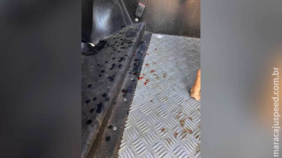 Homem é preso por abusar de cadela em Campo Grande Homem é preso por abusar de cadela em Campo Grande