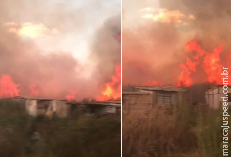 Incêndio por pouco não atinge barracos às margens de rodovia em Dourados Incêndio por pouco não atinge barracos às margens de rodovia em Dourados