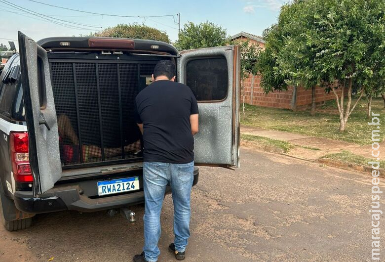 Indivíduo é preso após agredir companheira e furtar notebook dela Indivíduo é preso após agredir companheira e furtar notebook dela