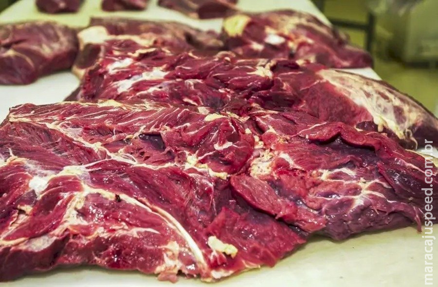 Justiça do Trabalho mantém justa causa de trabalhador acusado de furto de carne em frigorífico de Nova Andradina Justiça do Trabalho mantém justa causa de trabalhador acusado de furto de carne em frigorífico de Nova Andradina